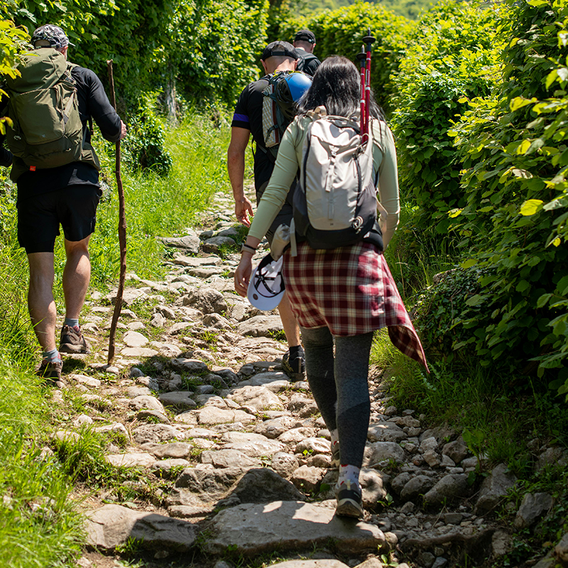 Hiking & Mountaineering